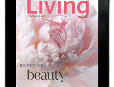 Martha Stewart Living iPad App