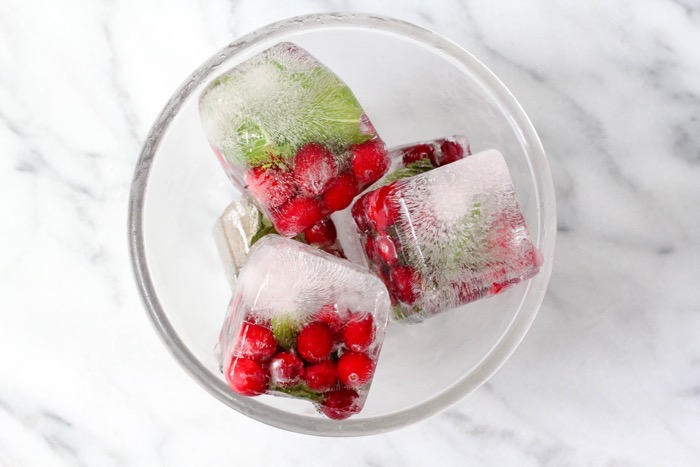 Cranberry Mint Ice Cubes 13