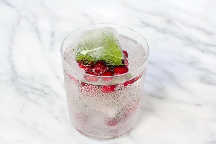 Cranberry Mint Ice Cubes 14