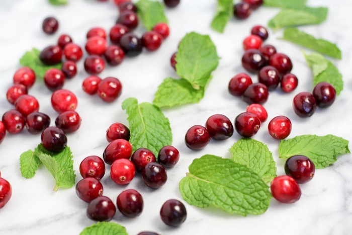 Cranberry Mint Ice Cubes 2