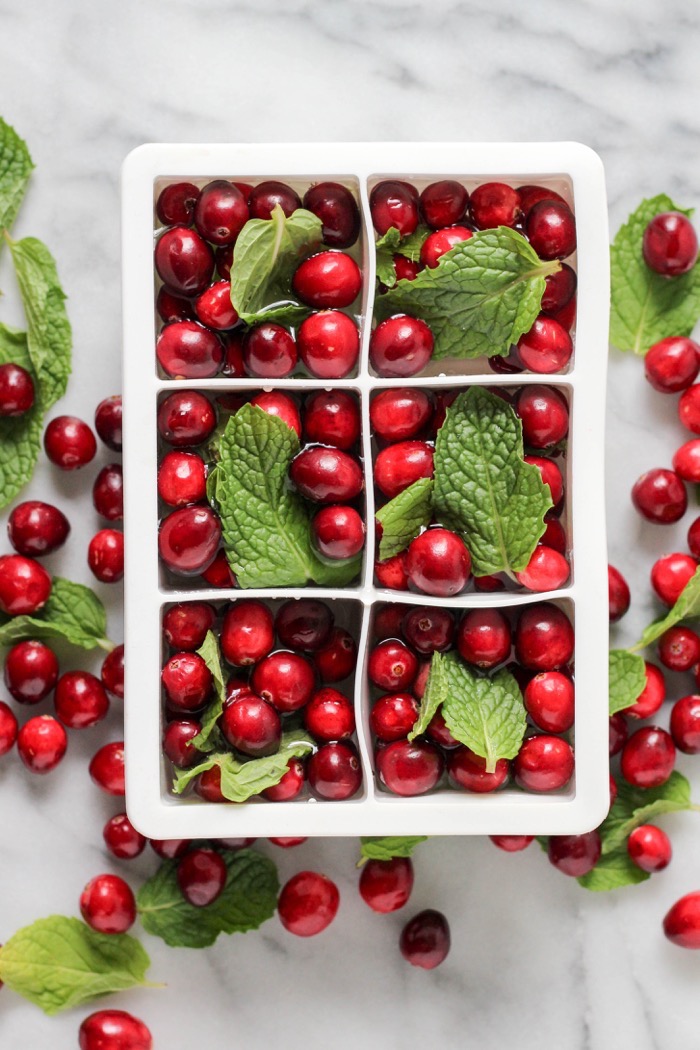 Cranberry Mint Ice Cubes 4