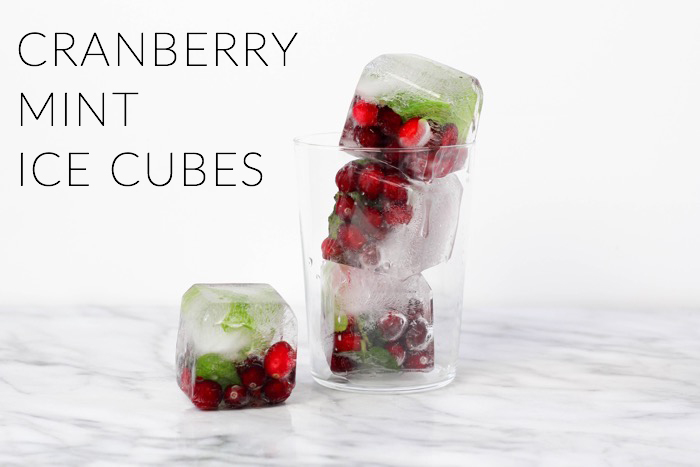 Cranberry Mint Ice Cubes 6 copy