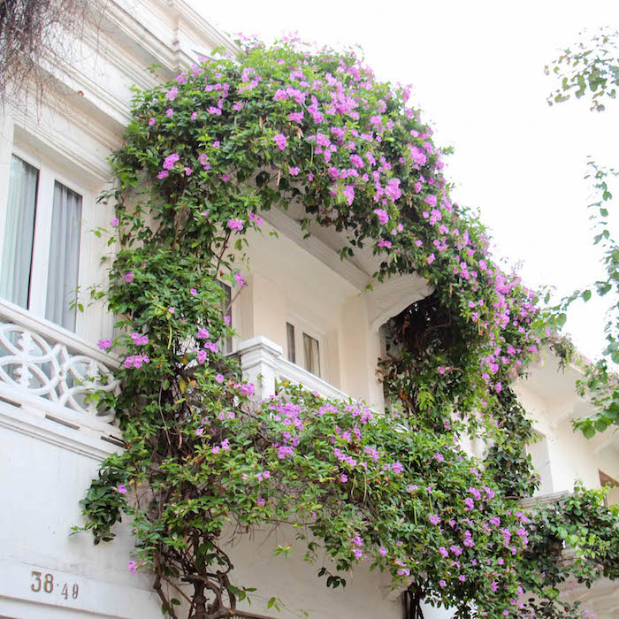 Cartagena_Travel_Photo_Diary_56