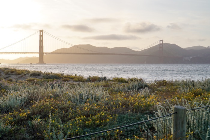 48 Hours in San Francisco 12
