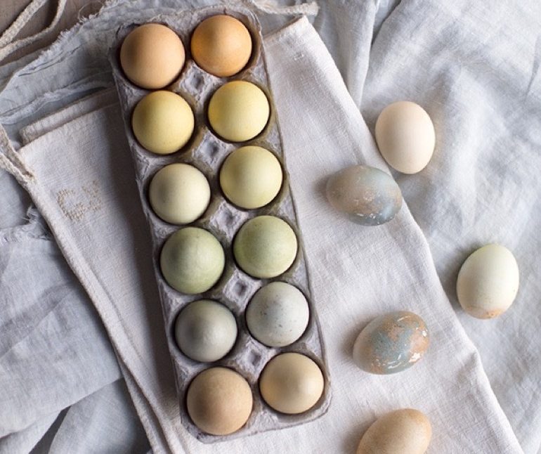 Naturally Dyed Easter Eggs_13