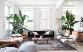 Bird of Paradise Plant Indoors Interiors Decor-15