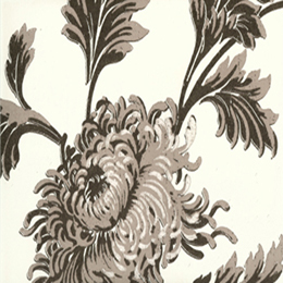 Wrchrysanthemumwallpaper