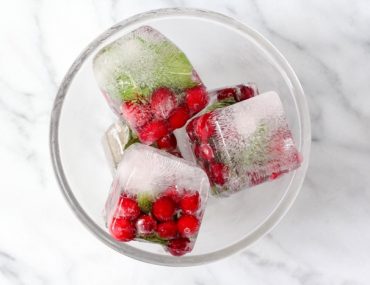 Cranberry Mint Ice Cubes 13
